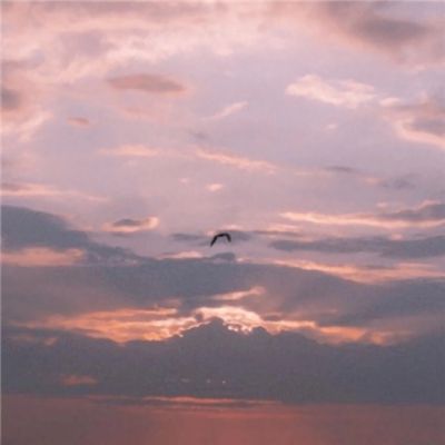 kaiyun官方网app下载app