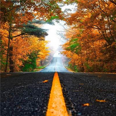 幸运彩票app截图